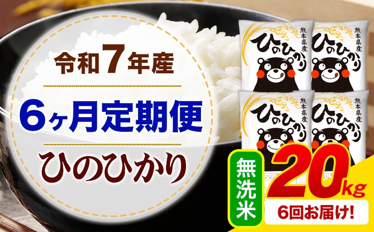 【6ヶ月定期便】 令和7年産 無洗米 ひのひかり 定期便 20kg《お申込み翌月から出荷》 熊本県産 ふるさと納税 精米 ひの 米 こめ ふるさとのうぜい ヒノヒカリ コメ お米---mifune_lcl_1228_mo6_---