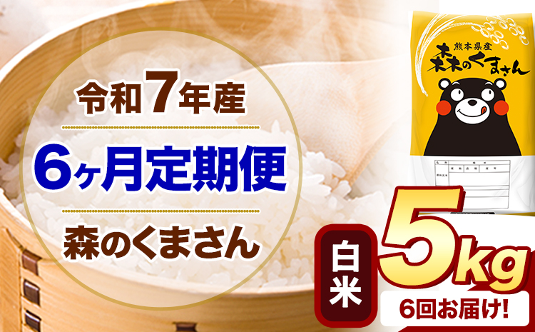 【6ヶ月定期便】 令和7年産 白米 森のくまさん 5kg 5kg×1袋 《お申込み翌月から出荷》 熊本県産 白米 精米 米 こめ コメ お米 kome---mifune_lcl_1403_mo6---