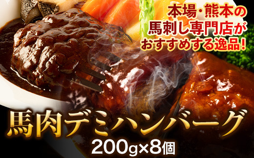馬肉デミハンバーグ 200g×8個 計1.6kg 千興ファーム 馬肉  御船町《60日以内に出荷予定(土日祝除く)》---smifune_snk_24_8s---