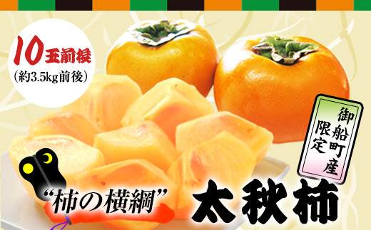 柿の横綱！『太柿』10玉前後(約3.5kg前後) 熊本県  JAかみましき《10月中旬-11月上旬頃出荷》フルーツ 熊本県産 ---sm_jatkaki_g10_21_10000_3500g---st-p