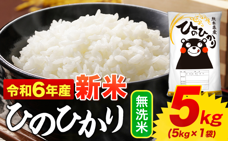 無洗米 ひのひかり 5kg 令和6年産 新米 熊本県産 ふるさと納税 無洗米 精米 ひの 米 こめ ふるさとのうぜい ヒノヒカリ コメ お米 おこめ---mf_hn6_af11_24_10000_5kg_m---