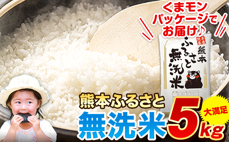 熊本ふるさと無洗米 5kg 無洗米 訳あり[2月上旬-2月末頃出荷予定] 熊本県産 無洗米 5kg×1袋---mf_mmsn_ac2_25_13000_5kg---