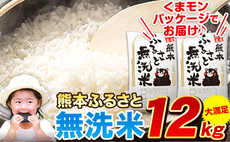 早期先行予約受付中 熊本ふるさと無洗米 12kg 無洗米 訳あり[11月-12月より出荷予定] 熊本県産 無洗米 6kg×2袋---mf_mmsn_af11_24_21000_12kg---