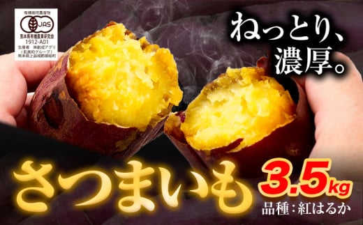さつま 紅はるか 3.5kg 創成アグリ[12月中旬-2月末頃出荷]熊本県 野菜 芋 さつま 焼き芋 有機JAS規格 ---sm_agrimo_bc122_24_9000_3500g---