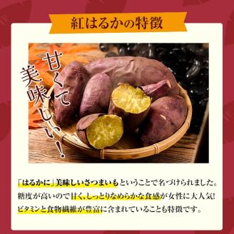 FKK19-970_ 嘉島町産さつまいも「紅はるか」10kg ＜2025年2月より順次発送＞ サツマイモ イモ 焼き芋 野菜