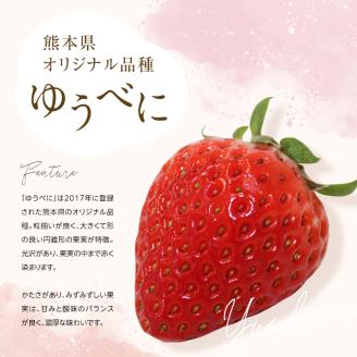 FKK19-816_【3月配送開始】嘉島町産ゆうべに 1,080g (270g×4)