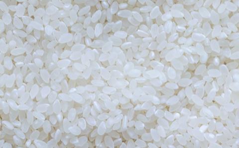 FK7-0176_ 特別栽培米「くまさんの輝き」5kg