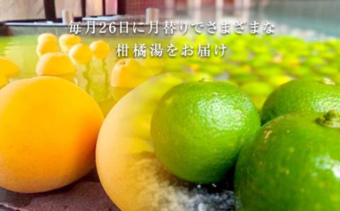 FKK19-18P_ 入浴チケット(2枚） ペアでもおひとり様2回利用でもOK