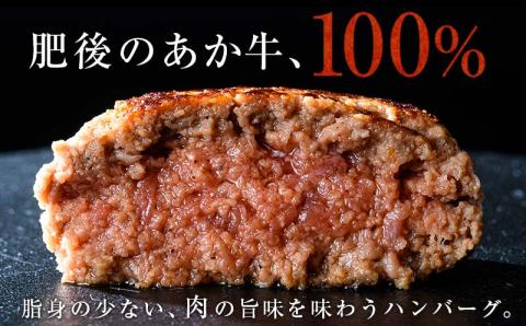 FKK19-225_【3ヵ月定期便】あか牛100％ハンバーグ（100g×10個）