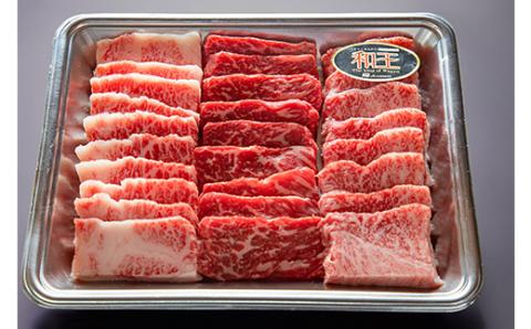 FKK19-533_熊本和王 厳選焼肉食べ比べセット 450g