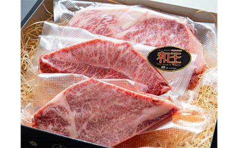 FKK19-534_熊本和王 厳選ステーキ盛り合わせセット 450g