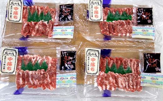 FK7-0188_ 中落ち馬刺し・4皿（4人前） 馬バラ さくら肉 桜肉 馬肉