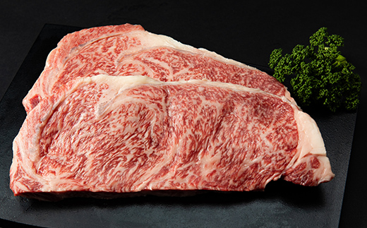 FK7-0259_あか牛サーロインステーキセット 牛肉 あか牛 サーロイン ステーキ 冷凍 九州 熊本県 熊本 嘉島