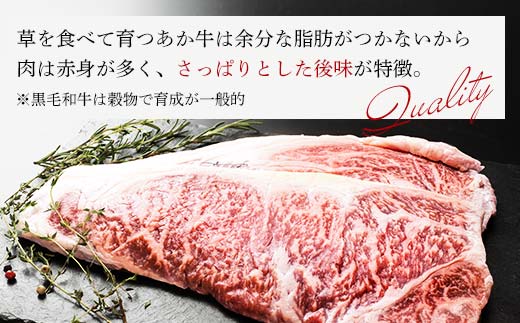 FKK19-226_あか牛サーロインステーキ