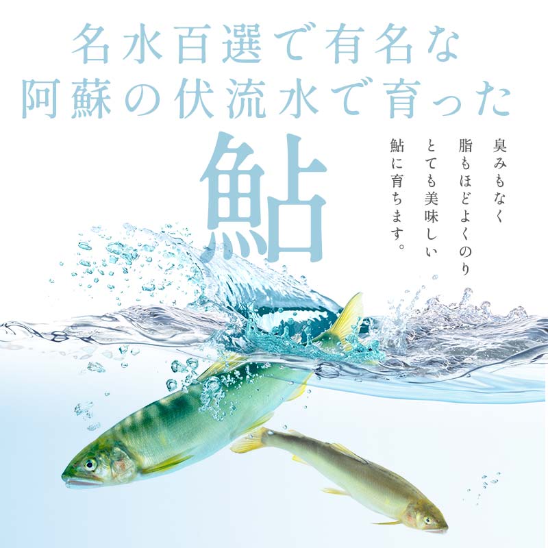 FKK19-826_養殖冷凍鮎 (中:13～15尾入×1) 1kg