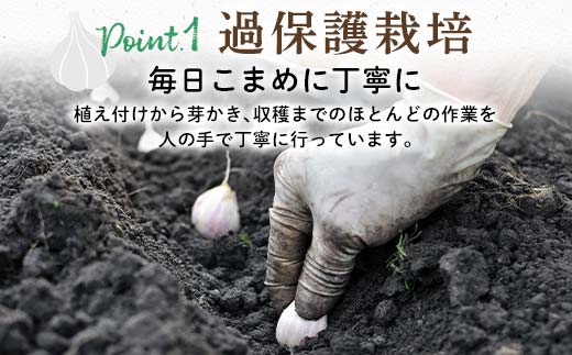 FK7-0179_【先行予約】 生にんにく 1kg