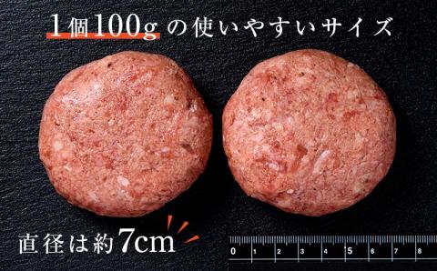 FKK19-219_あか牛100％ハンバーグ（100g×10個）