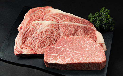 FK7-0260_あか牛極上ヒレ＆サーロインステーキセット 牛肉 あか牛 セット ヒレ サーロイン ステーキ 冷凍 九州 熊本県 熊本 嘉島