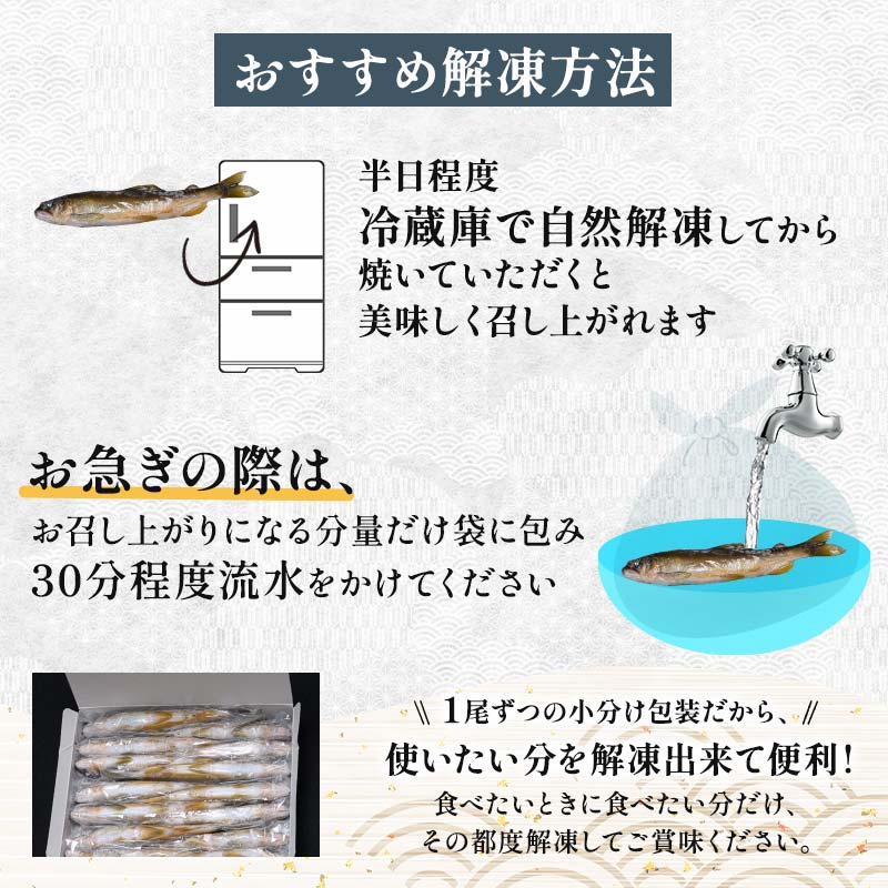 FKK19-827_養殖冷凍鮎 (中:13～15尾入×2) 2kg