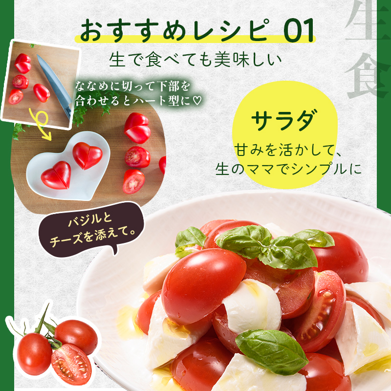 FK7-0209_【2カ月定期】嘉島町産アイコトマト1kg もぎたて 産地直送 産直 有機肥料 甘い フルーティー ミニトマト プチトマト リコピン 新鮮 フレッシュ サラダ 朝食 野菜 食品