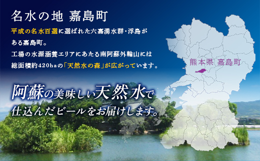 FK7-0157_ サントリー生ビールと金麦のセット 各350ml×1ケース(24本) 熊本県 嘉島町 ビール サン生