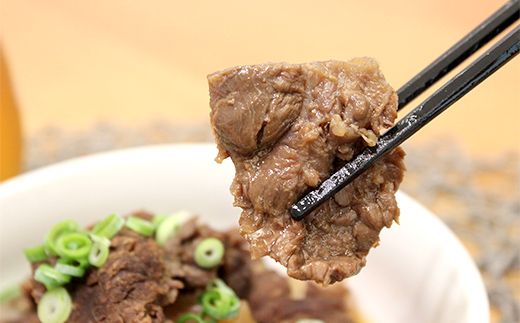 FK7-0236_馬スジ 1kg (500g×2) 馬肉 冷凍 九州 熊本県 熊本 嘉島