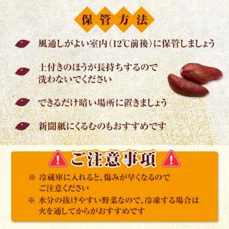 FKK19-970_ 嘉島町産さつまいも「紅はるか」10kg ＜2025年2月より順次発送＞ サツマイモ イモ 焼き芋 野菜