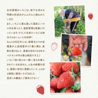 FKK19-816_【3月配送開始】嘉島町産ゆうべに 1,080g (270g×4)