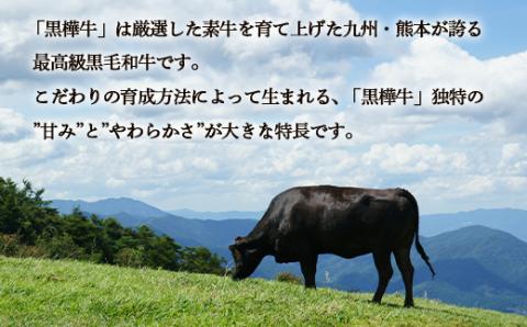 FKK19-732_黒毛和牛 黒樺牛A4～A5等級 肉厚サーロインステーキ300g