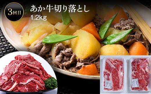 FK7-0004_ あか牛堪能定期便 全3回 サーロイン ステーキ ハンバーグ 切り落とし あか牛 肉