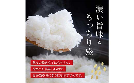 FK7-0225_【4カ月定期】【令和7年度産】【先行予約】嘉島町のおいしいお米（くまさんの輝き/白米） 5kg
