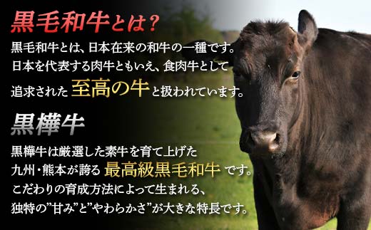 FKK19-04F_サントリー  金麦と黒樺牛サーロインステーキセット