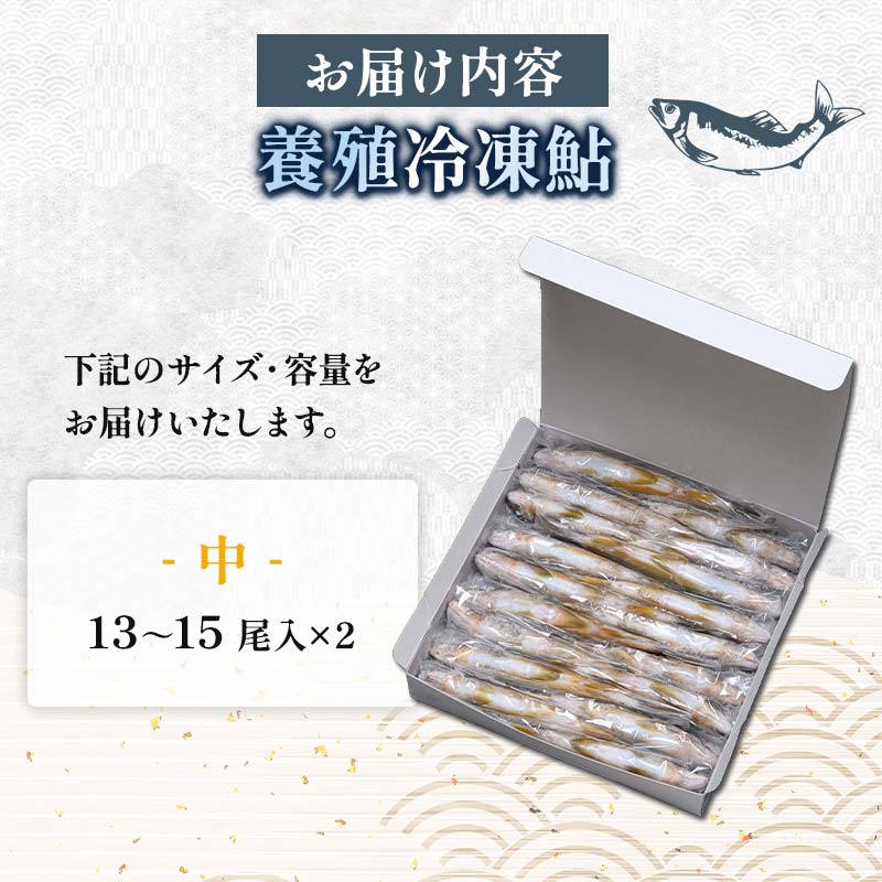 FKK19-827_養殖冷凍鮎 (中:13～15尾入×2) 2kg
