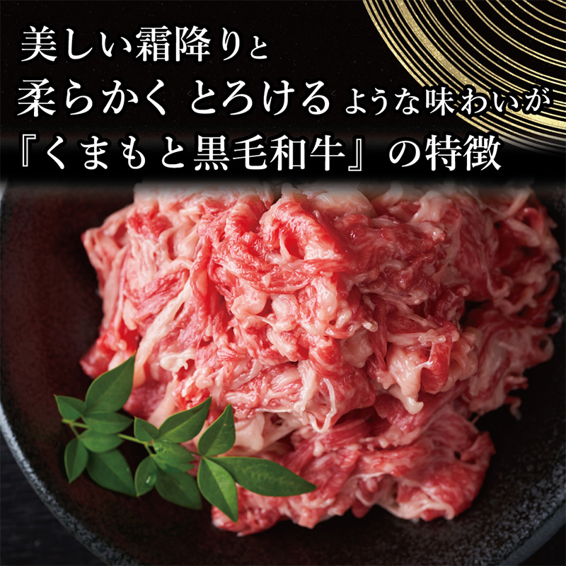 FK7-0009_【A4～A5】 くまもと黒毛和牛切り落とし 500g