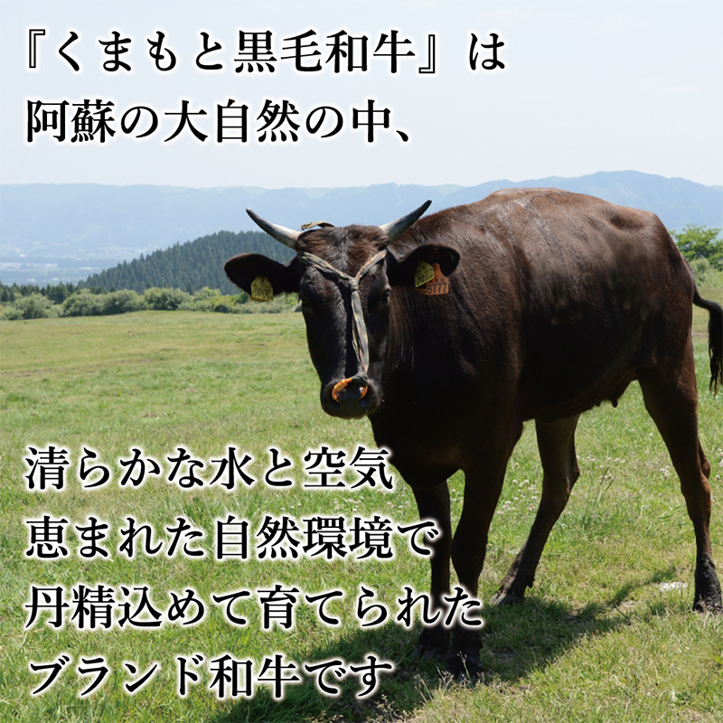 FK7-0011_【訳あり】【A4～A5】 くまもと黒毛和牛切り落とし 1.5kg（500g×3p）