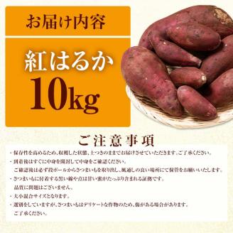 FKK19-970_ 嘉島町産さつまいも「紅はるか」10kg ＜2025年2月より順次発送＞ サツマイモ イモ 焼き芋 野菜