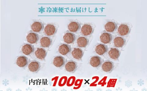 FKK19-396_【肥後あか牛入り】ハンバーグ100gｘ24個（2.4kg）