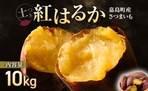 FKK19-970_ 嘉島町産さつまいも「紅はるか」10kg ＜2025年2月より順次発送＞ サツマイモ イモ 焼き芋 野菜