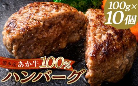 FKK19-219_あか牛100％ハンバーグ（100g×10個）