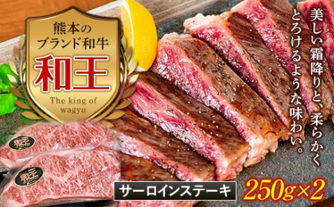 FKK19-529_熊本和王 サーロインステーキ 500g