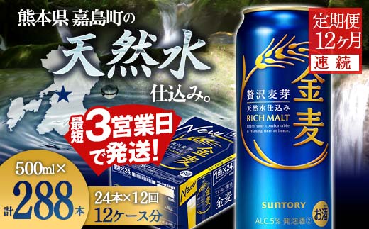 FK7-0091_ 【12ヶ月連続】サントリー金麦500ml×1ケース(24本） 熊本県 嘉島町 ビール