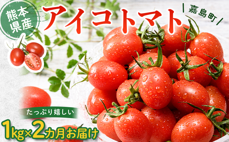 FK7-0209_【2カ月定期】嘉島町産アイコトマト1kg もぎたて 産地直送 産直 有機肥料 甘い フルーティー ミニトマト プチトマト リコピン 新鮮 フレッシュ サラダ 朝食 野菜 食品