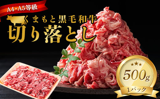 FK7-0009_【A4～A5】 くまもと黒毛和牛切り落とし 500g
