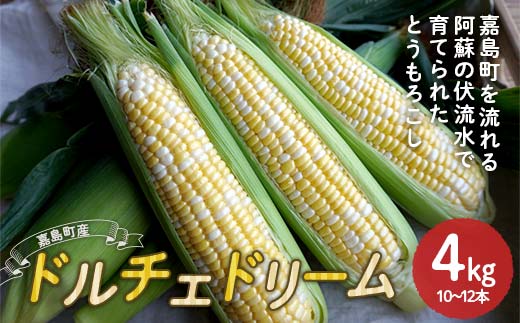 FK7-0231_ 【先行予約】嘉島町産ドルチェドリーム4kg ※令和8年4月中旬より発送開始 野菜 とうもろこし トウモロコシ 甘い ジューシー ドルチェドリーム 嘉島町