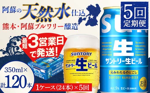 FK7-0141_ 【5回定期便】 サントリー 生ビール トリプル生 350ml ×1ケース (24缶)  熊本県 嘉島町 ビール サン生