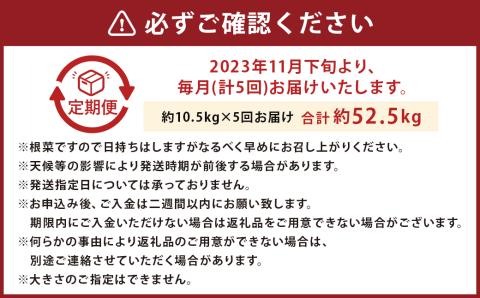 【2023年11月下旬発送開始】【5ヶ月定期便】熊本産 紅はるか 約10.5kg