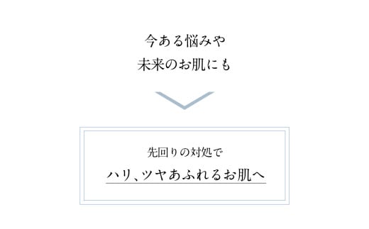 再春館製薬所 ドモホルンリンクル コンプリート 8点 セット