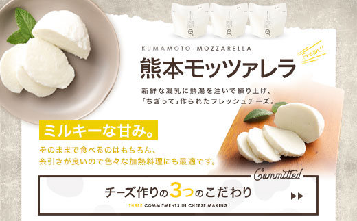 KUMAMOTO モッツァレラ 3個セット 300g（100g×3個）チーズ 生乳 乳製品