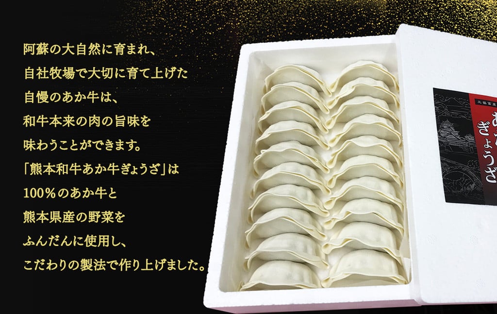 熊本 和牛 あか牛 ぎょうざ セット （熊本あか牛餃子20個入り×2箱） 合計40個