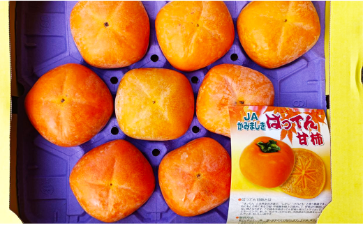 ばってん甘柿 約3kg 赤秀・青秀 8～16玉入り 柿 かき 甘柿 【2024年10月上旬～11月上旬まで発送予定】